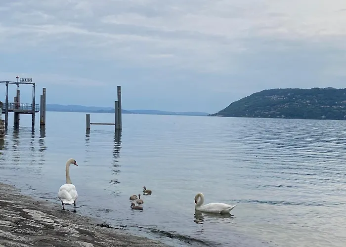 Apartament Casa Di Carlo *